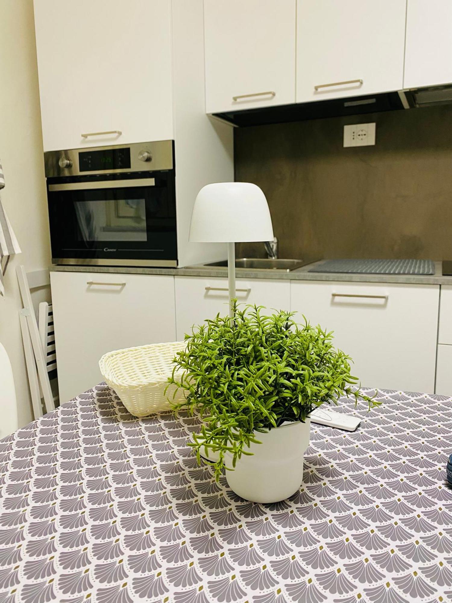 II Sogno Nel Vicolo Apartment Pisa Exterior foto